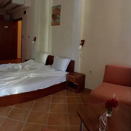 酒店 Eco Palace 3*